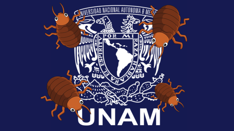 Suspenden Clases en Facultad de Química de la UNAM por Plaga de Chinches