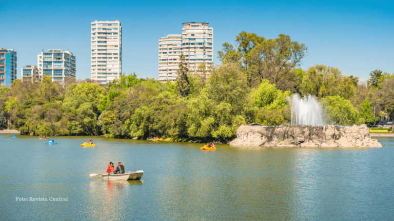 Actividades de Octubre 2023 En El Bosque de Chapultepec