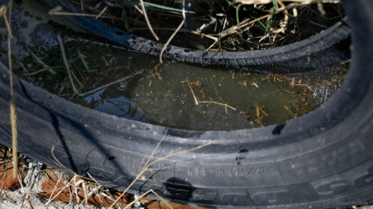 Dengue Y COVID-19 En Puebla