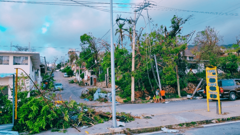 CFE Anuncia Inversión de 2 Mil Millones de Pesos en Reconstrucción y Obra Mayor en Acapulco: Bartlett