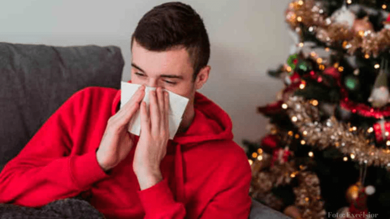 Poner El Arbolito De Navidad Podría Afectar La Salud