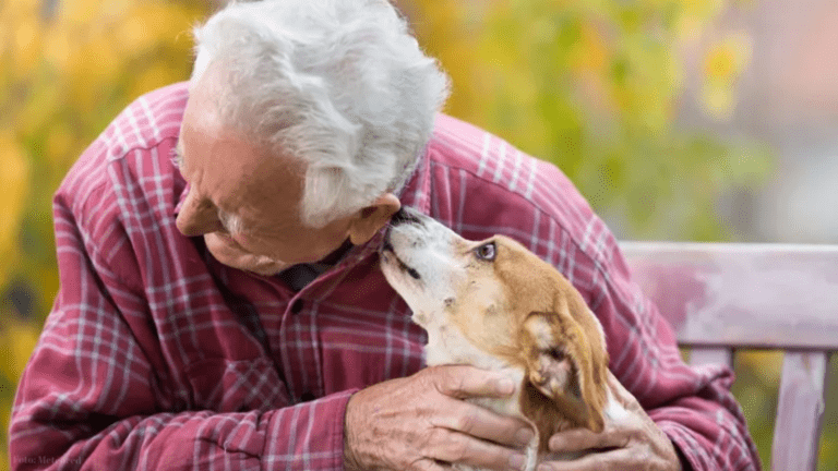 Beneficios A La Salud, La Terapia Con Mascotas