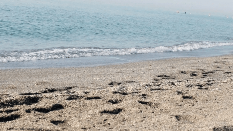 Alerta De Salud En Playas Mexicanas Durante Las Vacaciones