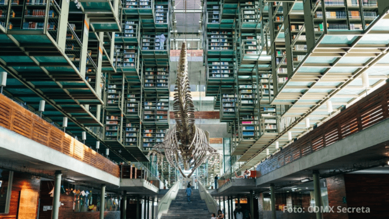 Biblioteca Vasconcelos