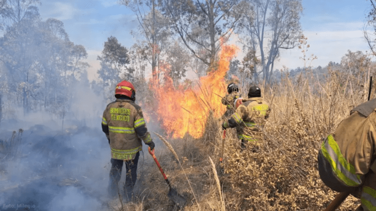 Incendios Forestales en México: Edomex suma 4 Víctimas y Hay 120 Focos de Fuego Activos