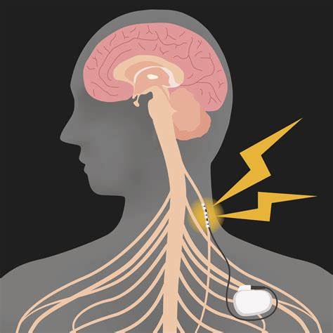 El Nervio Vago: Un Pilar Fundamental del Sistema Nervioso Autónomo.