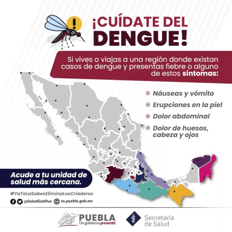 Alarma en Hidalgo: Casos de Dengue se Disparan de 17 a 192 en un Año.