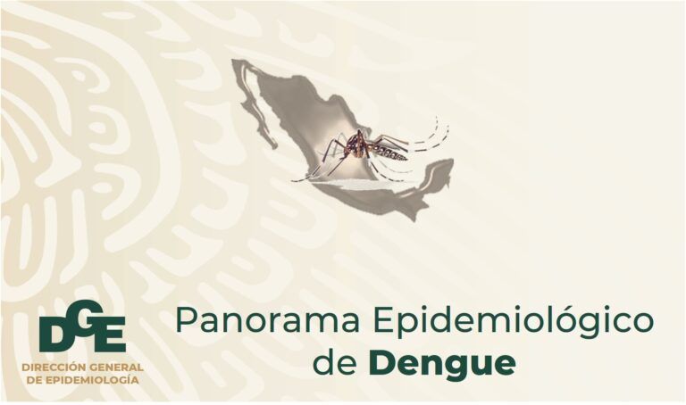 Alerta por brote de dengue en México: Ya puedes vacunarte.