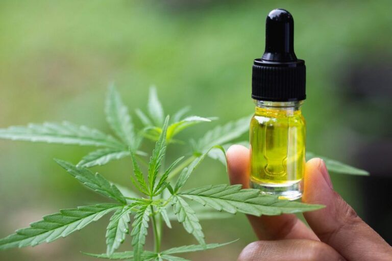 CBD: El Compuesto de la Marihuana que Revoluciona la Salud