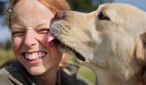 ¿Debemos dejar que nuestros perritos nos den besos?