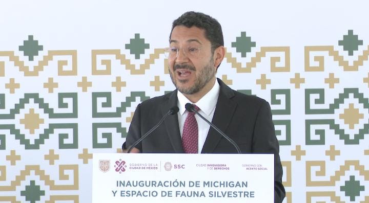 Inauguran “Michigan” ciudad de los gatos