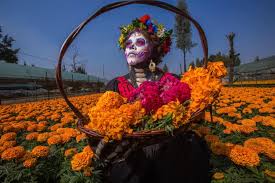 Experiencia entre cempasúchil: Una mágica noche de leyendas y mariachi para celebrar el Día de Muertos 