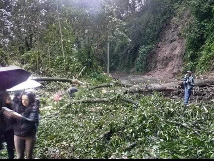 Lluvias Intensas Causan Graves Daños en Veracruz 