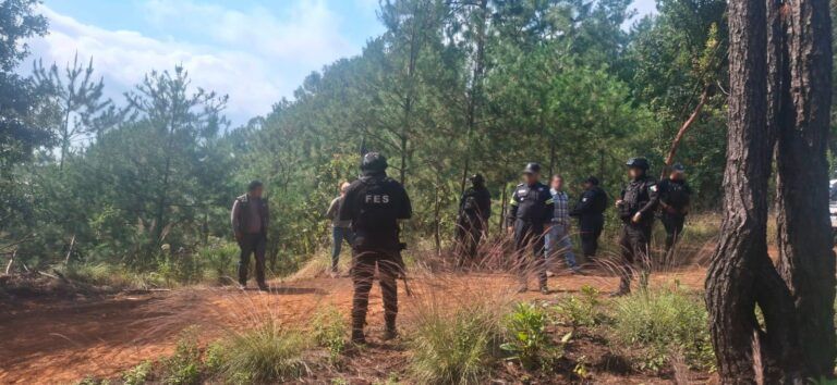 Operativo en Ocuilan para Proteger Fauna y Flora Nativas Deja Herramientas Decomisadas