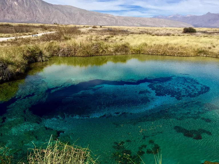 Descubre la Belleza Natural de Cuatro Ciénegas, Coahuila