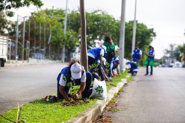 Mérida ciudad verde: 8 acciones clave contra el cambio climático