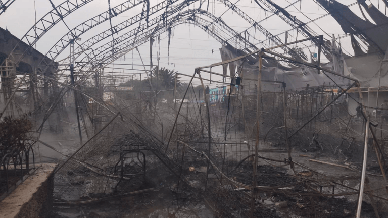 Teoloyucan: Incendio en Bazar Navideño Deja Pérdidas Millonarias pero Saldo Blanco