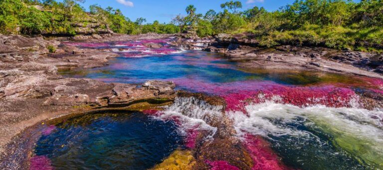 Caño Cristales: El río más hermoso del mundo