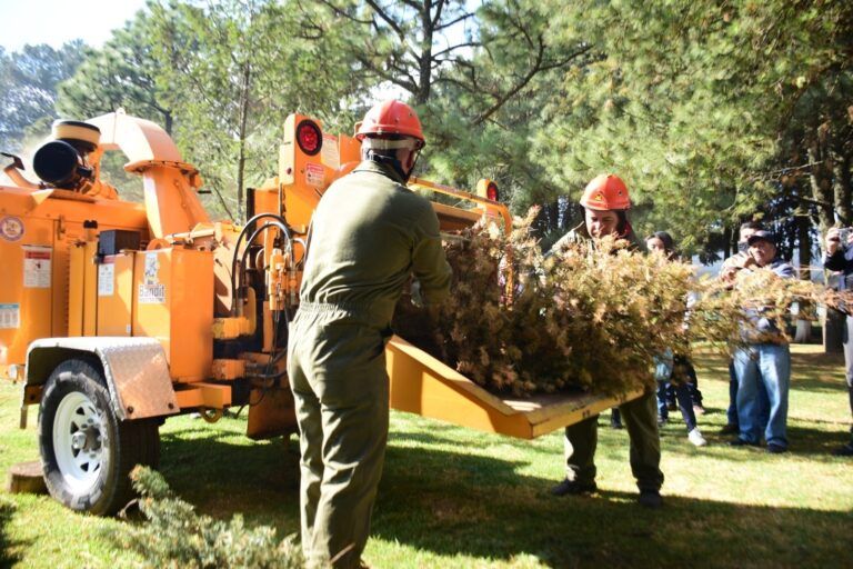 ¡Recicla tu Árbol de Navidad! Habilita Probosque sus viveros forestales como Centros de Acopio