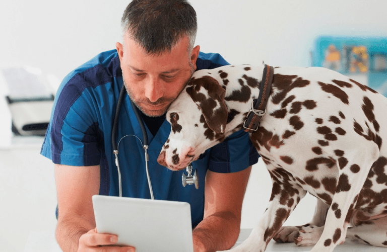 El impacto del burnout y el acoso en la salud mental de los veterinarios