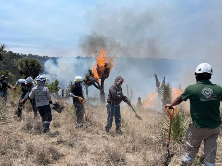 Combaten 436 brigadistas incendio forestal en Tlaxcala