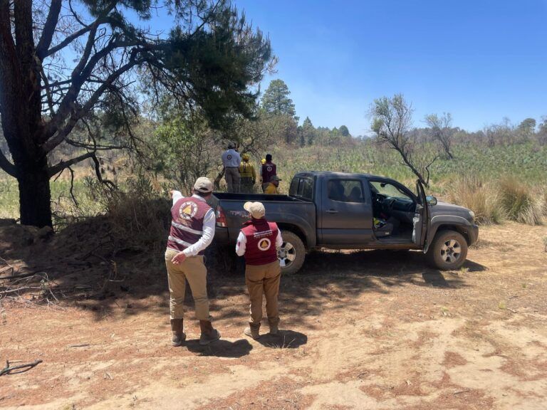 Lanza Protección Civil del EdoMéx un llamado a la ciudadanía para evitar incendios forestales
