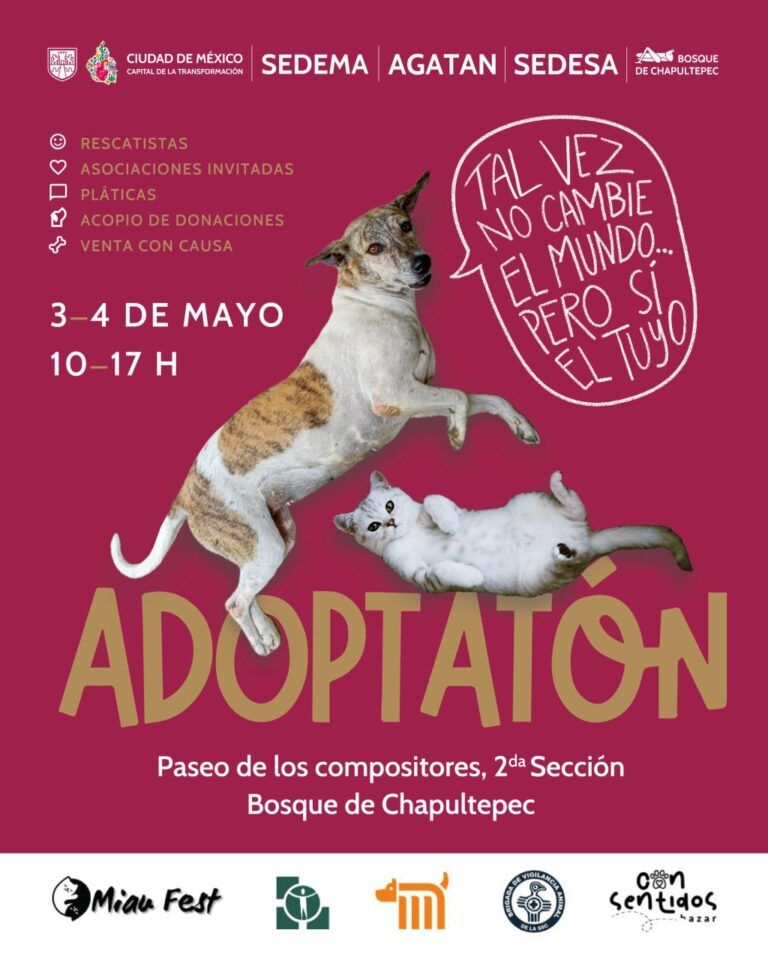 Invita SEDEMA CDMX al “Adoptatón” de mayo