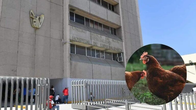 Falleció la menor infectada por gripe aviar