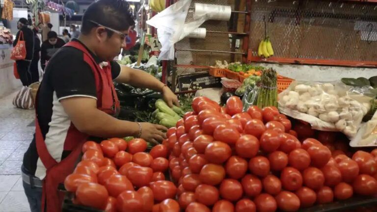 Advierte el CNA que la imposición de aranceles al tomate mexicano impactará en bolsillo de los estadounidenses