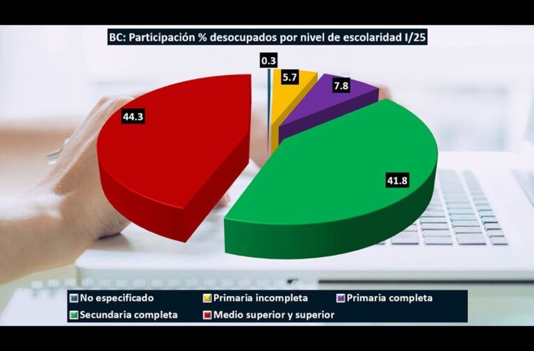 Alerta por fuga de talento; profesionistas de BC, los más afectados por desempleo