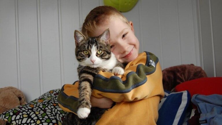 Niños y Gatos: Cómo Lograr una Convivencia Segura y Responsable