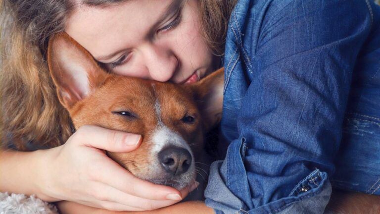 El gesto final de amor: lo que hacen muchas mascotas antes de partir