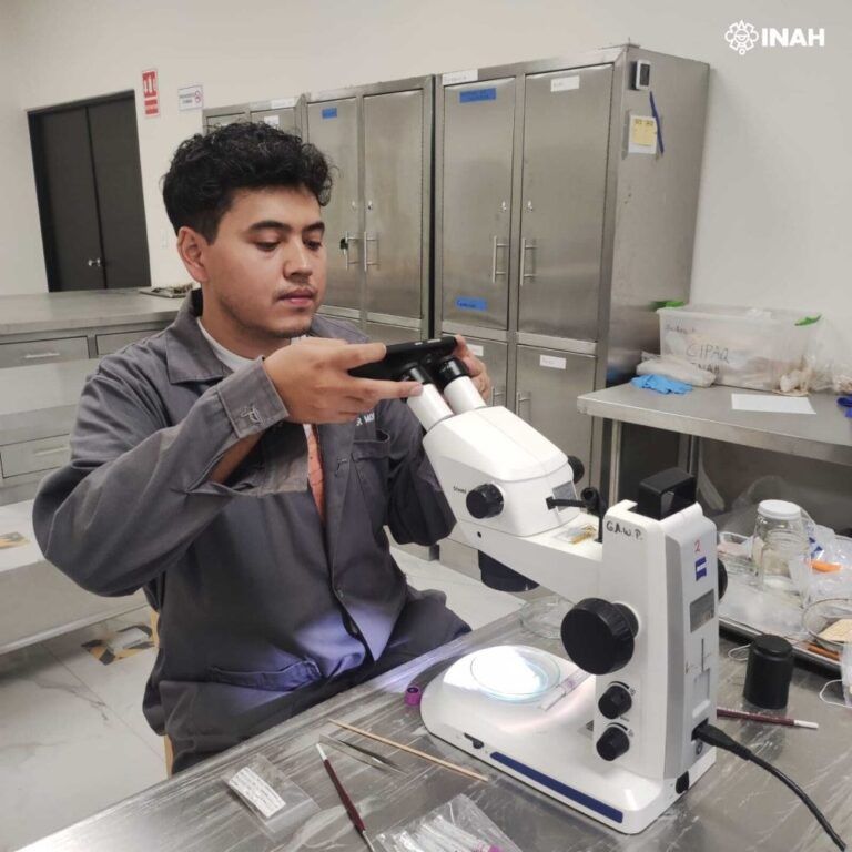 Tesoros microscópicos del Pleistoceno: hallazgos en Santa Lucía sorprenden a la ciencia