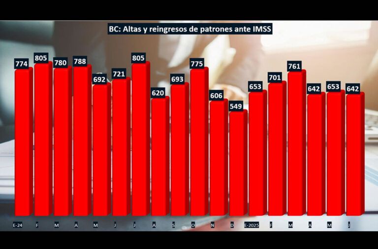Carga fiscal estatal impactó en la apertura de empresas formales en BC