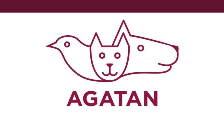 Nueva legislación en CDMX refuerza la protección animal