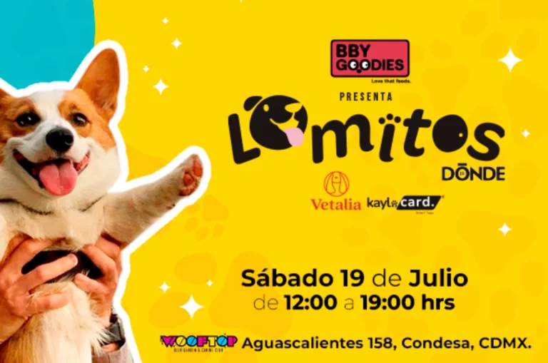 Lomitos Dónde Ir: el evento pet-friendly gratuito que llenará de perritos la Condesa