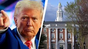 Harvard lleva a juicio a Trump por recorte de $2,600 millones en fondos de investigación