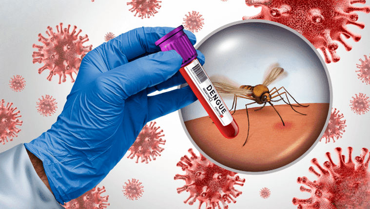 Aumentan los casos de dengue en México; autoridades en alerta sanitaria